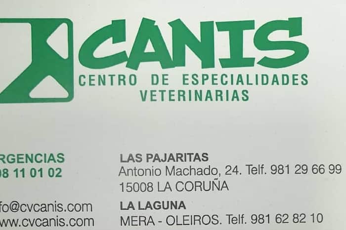 CV Canis Pajaritas