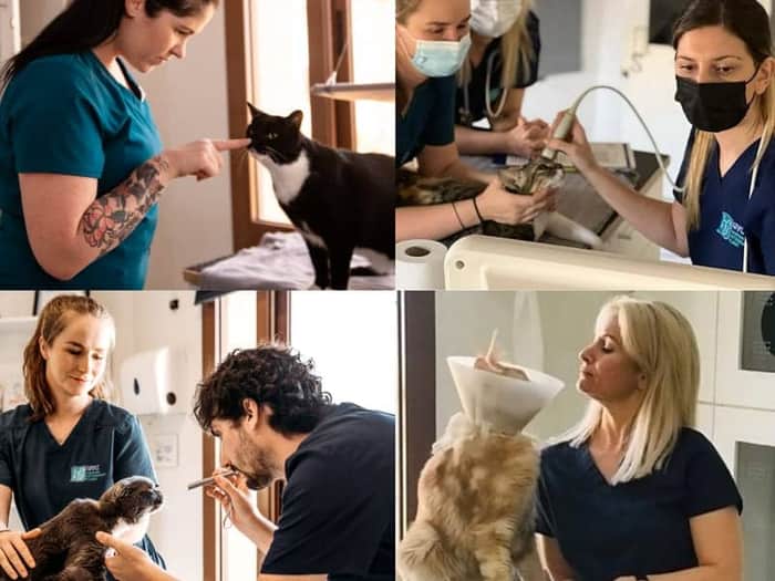 German Veterinary Clinic