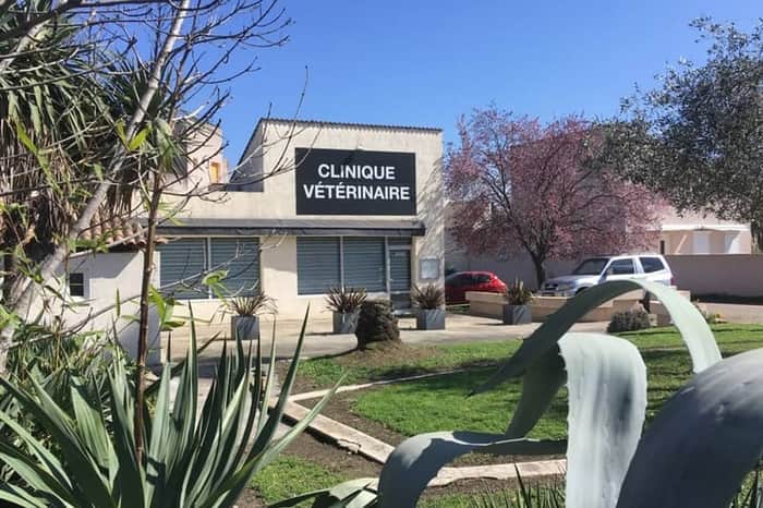 Clinique Vétérinaire San Niculaiu