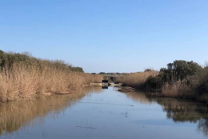 Parc Natural de s'Albufera de Mallorca
