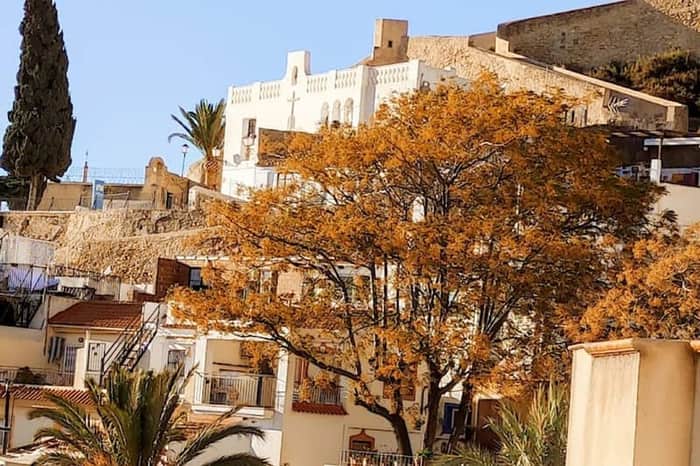 Barrio de Santa Cruz
