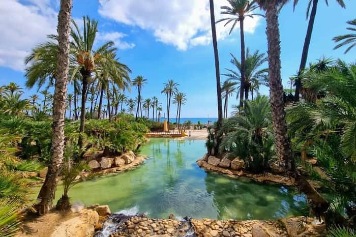 Parque El Palmeral