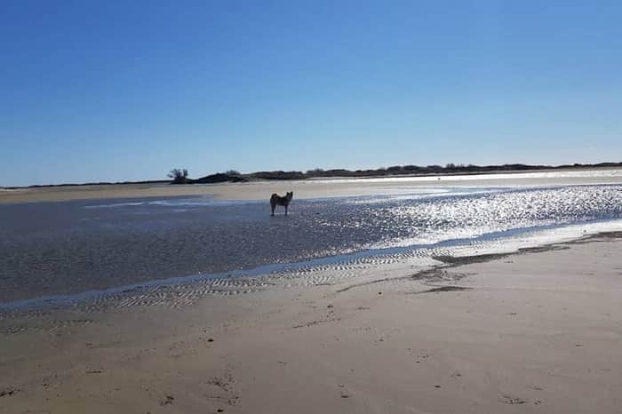 Plage de Beauduc