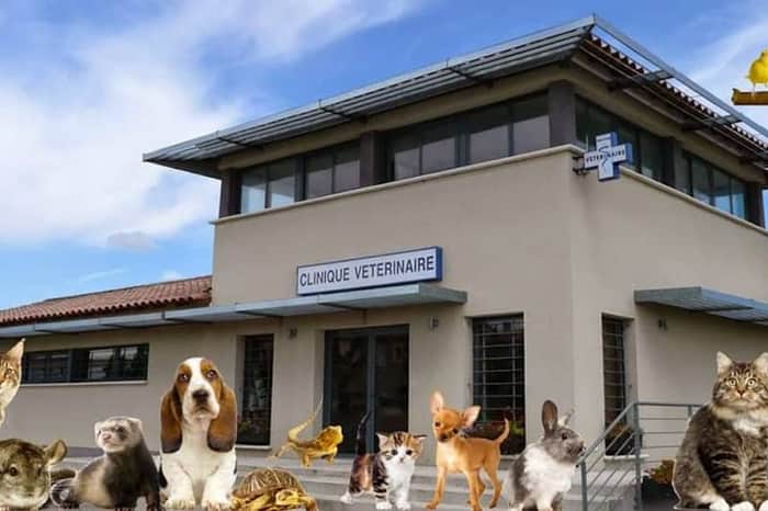 Clinique Vétérinaire de Trinquetaille