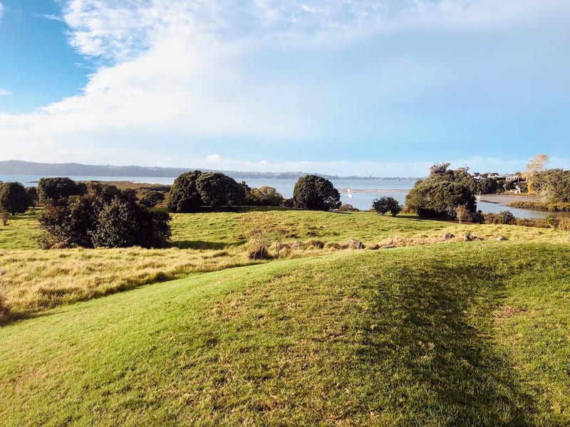 Meola Reef Reserve (Te Tokaroa)