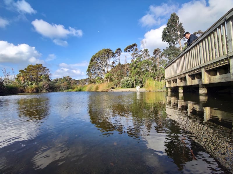 Waiatarua Reserve