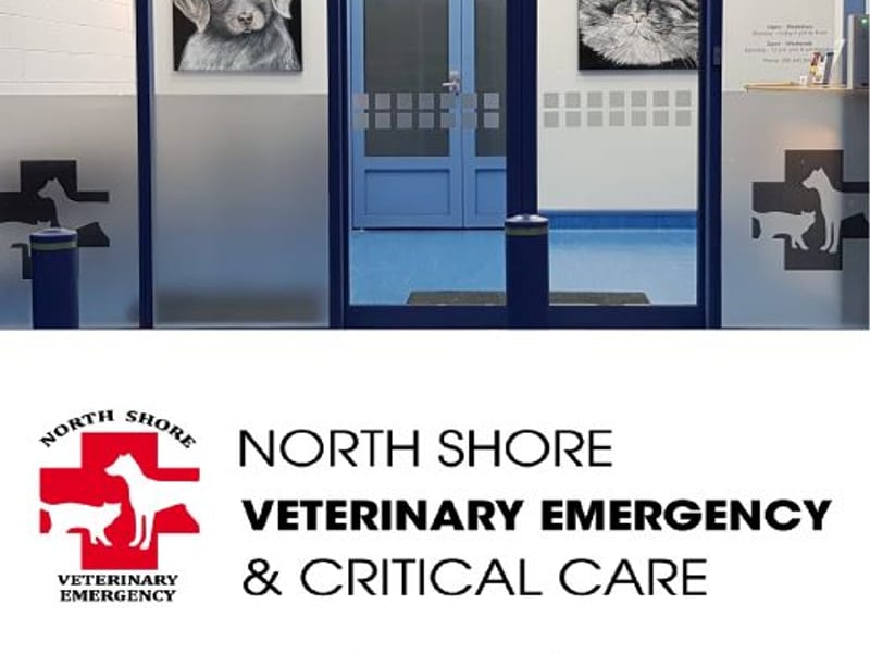 North Shore Veterinary Emergency and Critical Care