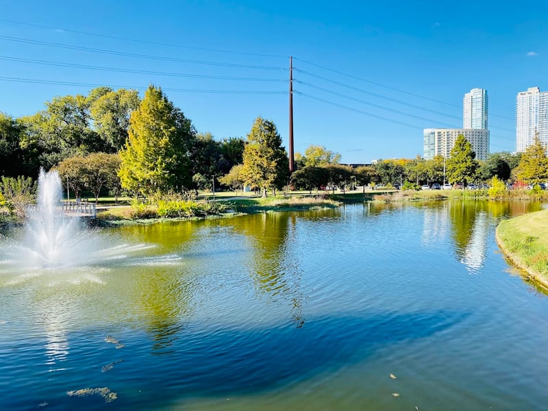 Auditorium Shores Dog Launch