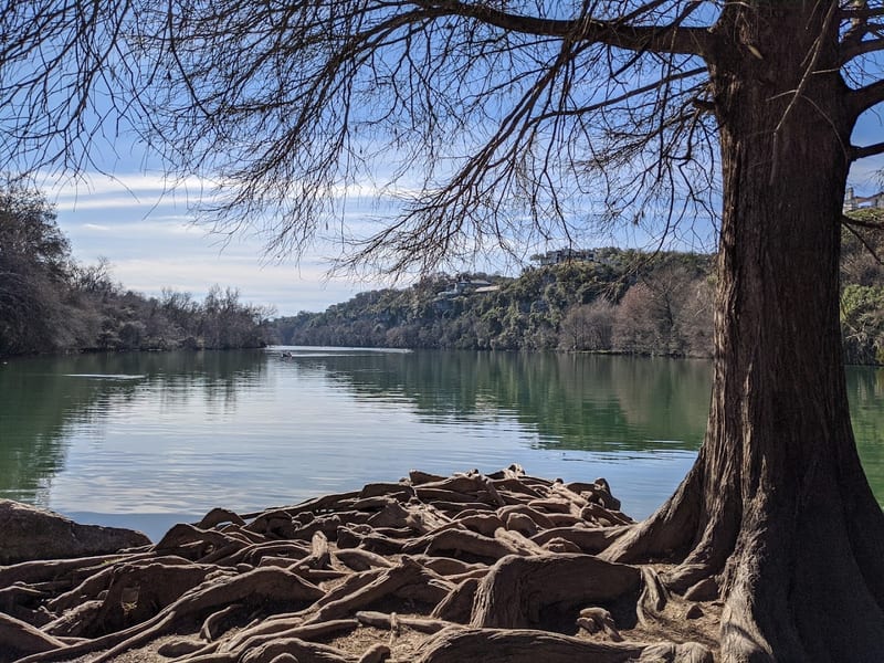 Red Bud Isle