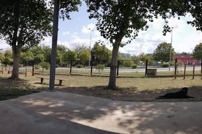 Parque Canino da Forca-Vouga (Nascente)