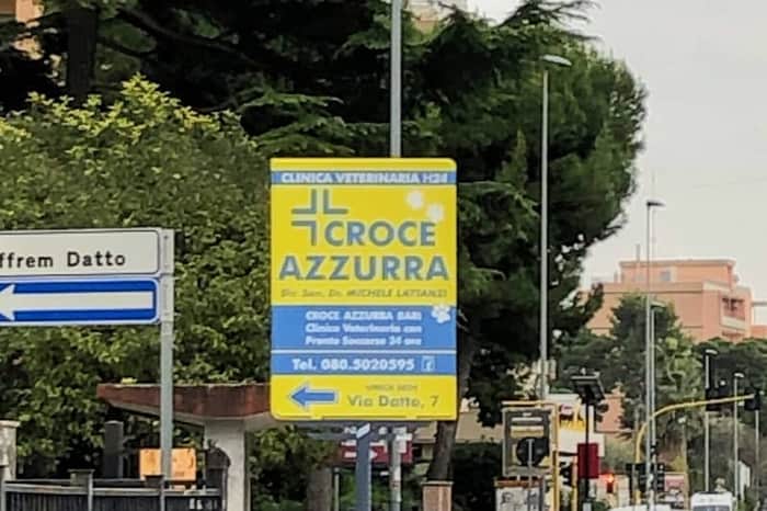 Clinica Veterinaria Croce Azzurra