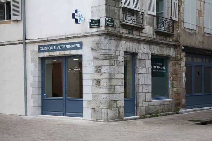 Clinique Vétérinaire du Petit Bayonne