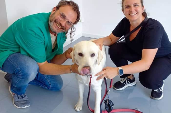 Centre Veterinari PalafruVet (Palafrugell)