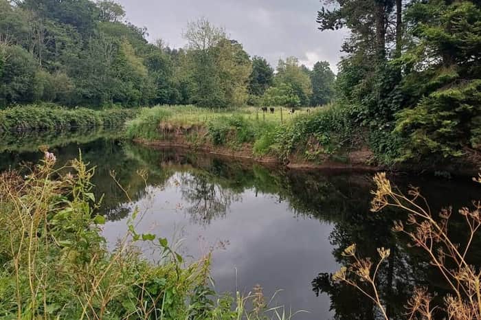 Lagan Towpath (Belfast to Lisburn)
