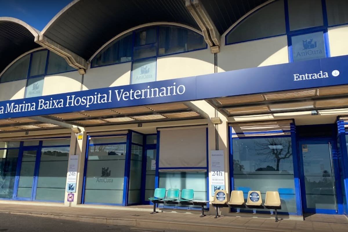 AniCura Marina Baixa Hospital Veterinario