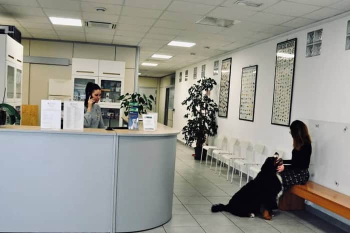 Ambulatorio Veterinario Bergamo Centro