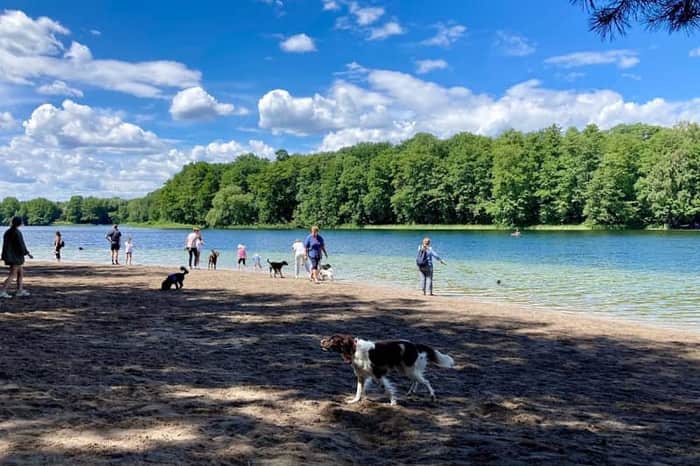 Wannsee, Hundestrand (Dog Beach)