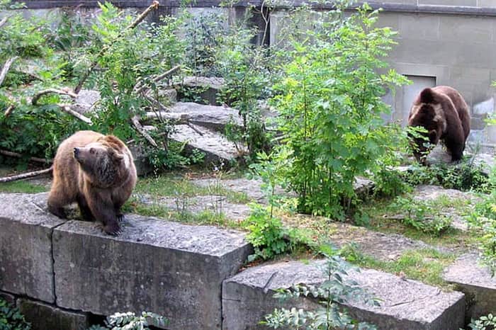 BärenPark