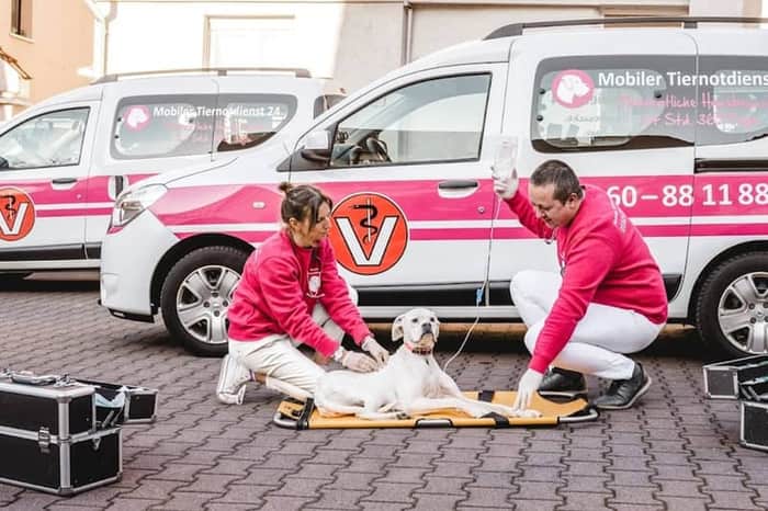 Vetmobil24 (Mobile Emergency Service)