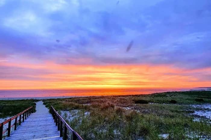 Crane Beach (Ipswich, year-round dog hours)