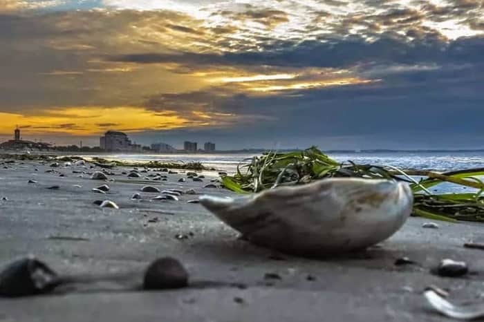 Revere Beach (off-season)