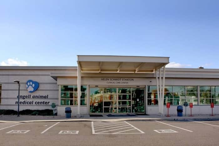 Angell Animal Medical Center (MSPCA-Angell)