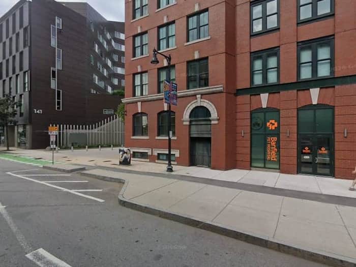 South Boston Animal Hospital