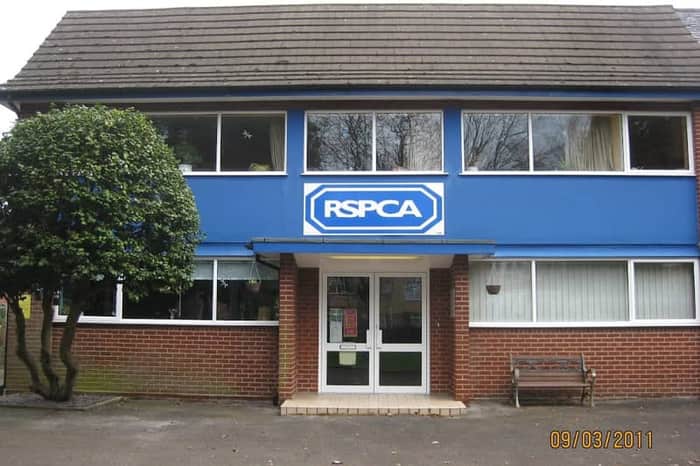 Park Veterinary Centre Bournemouth