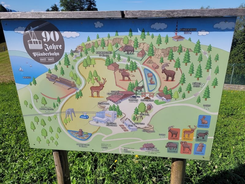 Pfänder Wildpark