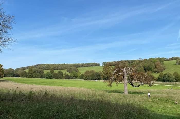 Stanmer Park