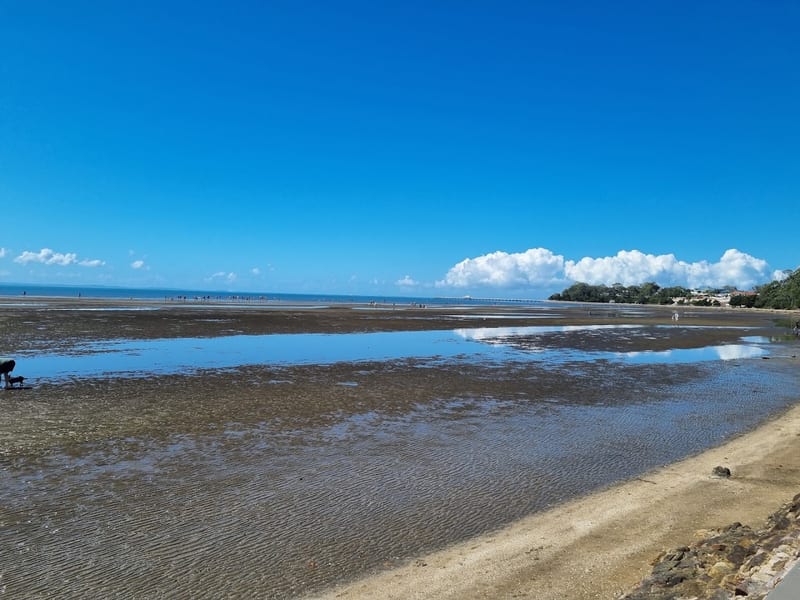 Sandgate and Shorncliffe foreshore off-leash area