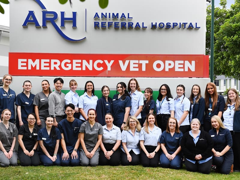 Animal Referral Hospital Brisbane