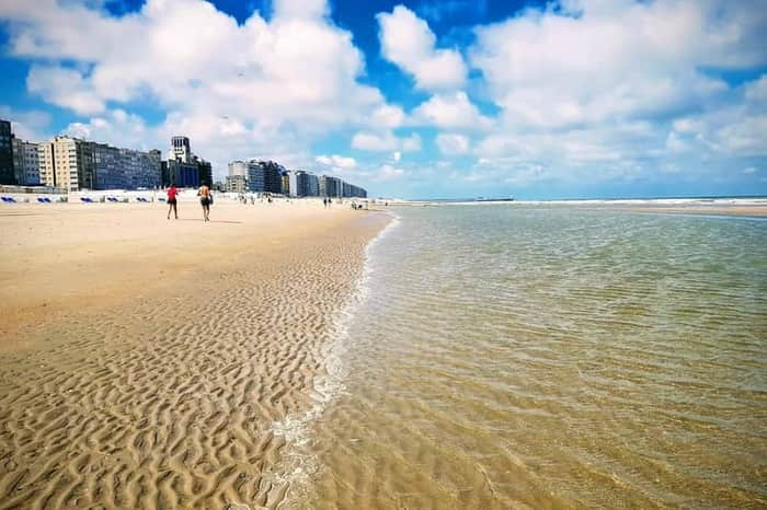 Blankenberge Dog Beach