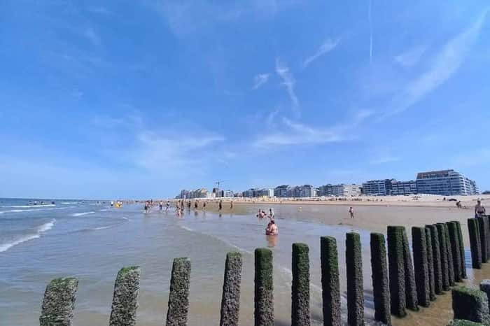 Knokke-Heist Dog Beach and Promenade
