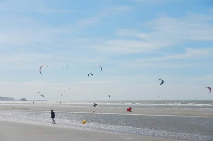 Zeebrugge Dog Beach
