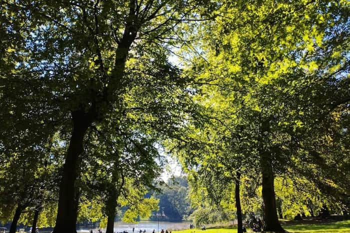 Bois de la Cambre