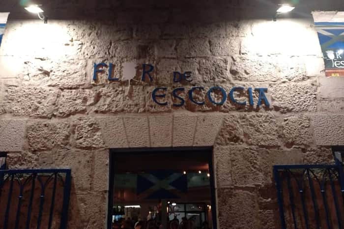 Flor de Escocia