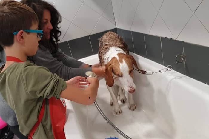 Canis Hospital Veterinari (Figueres)