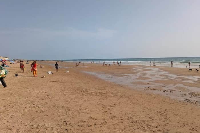 Playa de Torregorda (zona canina)