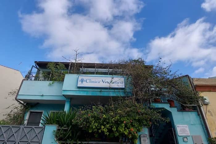 Clinica Veterinaria Duemari
