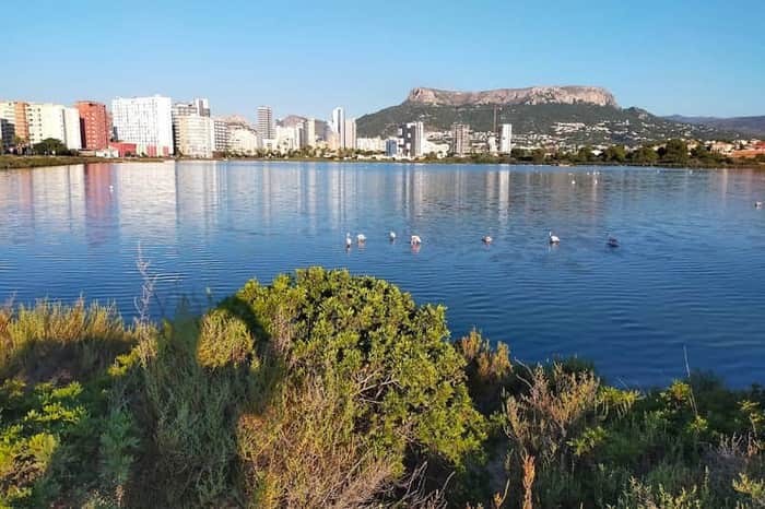 Las Salinas wetland reserve