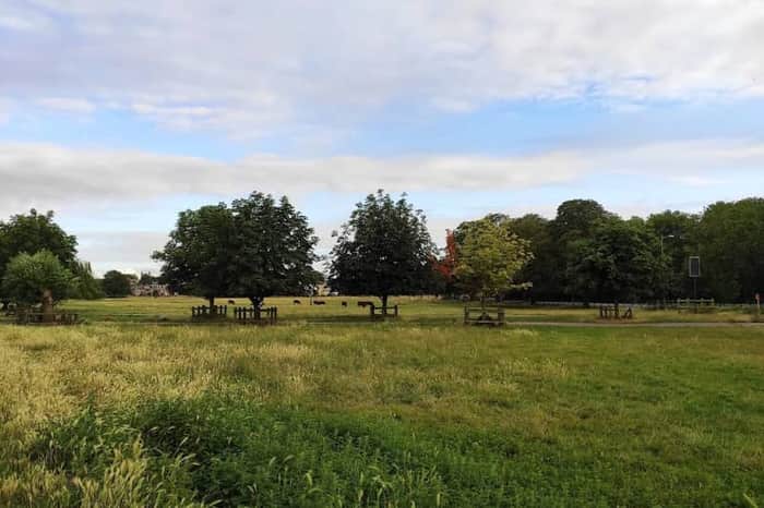 Midsummer Common
