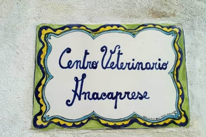 Ambulatorio Veterinario Anacapri