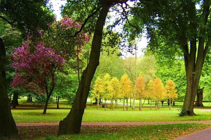 Bute Park