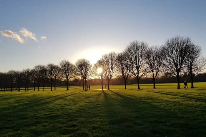 Pontcanna Fields