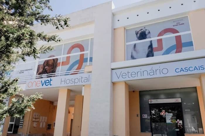 CASVET, Hospital Veterinário Cascais (OneVet)