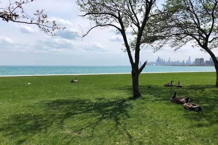 Foster Beach (off-season)