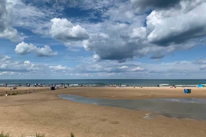 Montrose Dog Beach (MonDog)