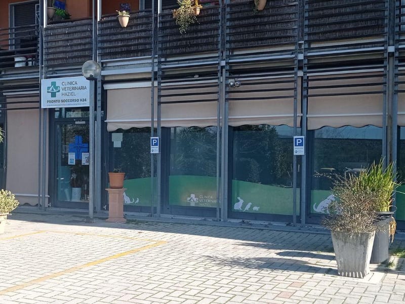 Clinica Veterinaria Haziel
