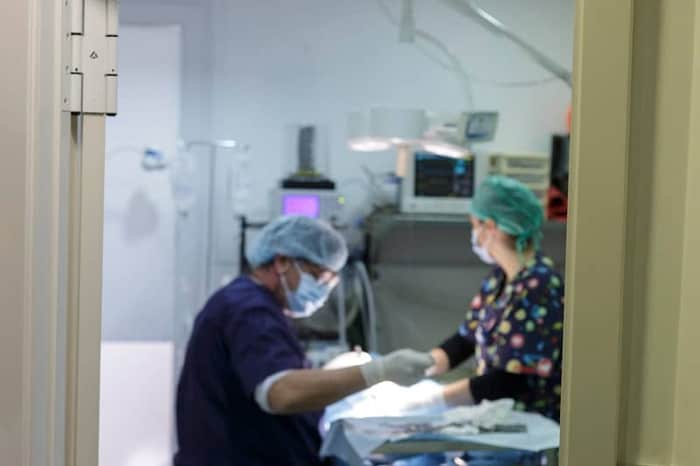 Clínica Veterinaria Pérez Sintes